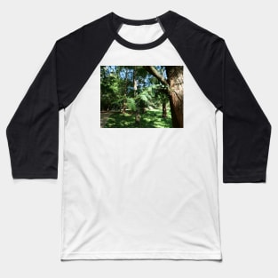 Tree leaves and sunlight - what more you want from nature Baseball T-Shirt